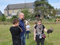 2013098771 Falcon Exhibition - Han Belgium - Sept 28