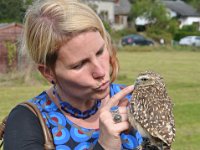 2013098779 Falcon Exhibition - Han Belgium - Sept 28