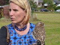 2013098781 Falcon Exhibition - Han Belgium - Sept 28