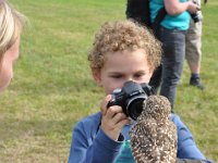 2013098782 Falcon Exhibition - Han Belgium - Sept 28