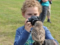 2013098783 Falcon Exhibition - Han Belgium - Sept 28