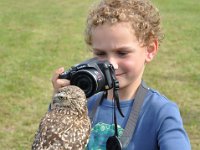 2013098786 Falcon Exhibition - Han Belgium - Sept 28