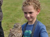 2013098787 Falcon Exhibition - Han Belgium - Sept 28