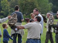 2013098789 Falcon Exhibition - Han Belgium - Sept 28