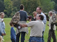 2013098790 Falcon Exhibition - Han Belgium - Sept 28