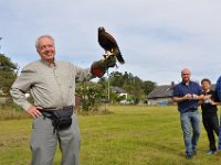 2013098796 Falcon Exhibition - Han Belgium - Sept 28