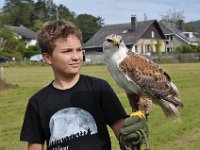 2013098802 Falcon Exhibition - Han Belgium - Sept 28