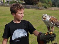 2013098804 Falcon Exhibition - Han Belgium - Sept 28