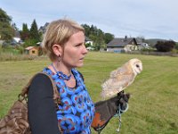 2013098805 Falcon Exhibition - Han Belgium - Sept 28