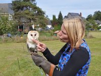 2013098807 Falcon Exhibition - Han Belgium - Sept 28