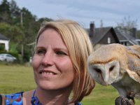 2013098812 Falcon Exhibition - Han Belgium - Sept 28