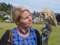 2013098813 Falcon Exhibition - Han Belgium - Sept 28