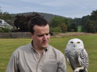 2013098817 Falcon Exhibition - Han Belgium - Sept 28