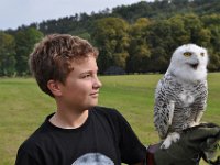 2013098824 Falcon Exhibition - Han Belgium - Sept 28