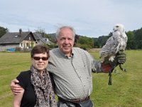 2013098834 Falcon Exhibition - Han Belgium - Sept 28