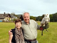 2013098838 Falcon Exhibition - Han Belgium - Sept 28