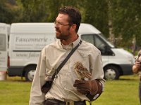 2013098847 Falcon Exhibition - Han Belgium - Sept 28