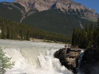 2010076910 Athabasca Falls - Jasper Nat Park - Alberta - Canada  - Jul 29