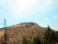 2010077155 Forest Fire Along The North Thompson River - British Columbia - Canada  - Jul 31