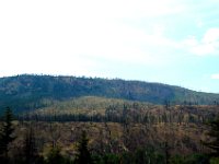 2010077160 Forest Fire Along The North Thompson River - British Columbia - Canada  - Jul 31