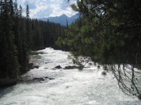 2010076424 Kicking Horse River - British Columbia - Canada  - Jul 27