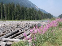 2010077228 Duffey Lake - British Columbia - Canada  - Aug 01
