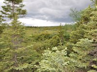 2012069483 Cabot Trail National Park - Cape Breton Island - Nova Scotia - Jun 24