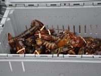 2012069567 Cape Smokey and the Lobster Fishing Industry - Cape Breton Island - Nova Scotia - Jun 25