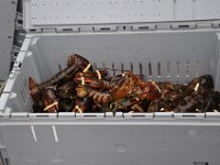 2012069568 Cape Smokey and the Lobster Fishing Industry - Cape Breton Island - Nova Scotia - Jun 25