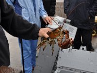 2012069569 Cape Smokey and the Lobster Fishing Industry - Cape Breton Island - Nova Scotia - Jun 25
