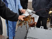 2012069571 Cape Smokey and the Lobster Fishing Industry - Cape Breton Island - Nova Scotia - Jun 25