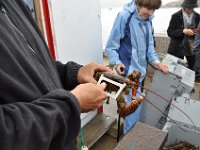 2012069573 Cape Smokey and the Lobster Fishing Industry - Cape Breton Island - Nova Scotia - Jun 25