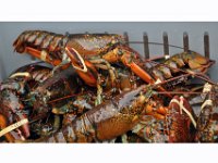 2012069575 Cape Smokey and the Lobster Fishing Industry - Cape Breton Island - Nova Scotia - Jun 25