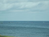 2012069983 Lobster Fishing and Red Rock Beach - near Braddeck - PEI - Canada - Jun 28