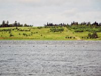 2012069961 Lobster Fishing Village - Rustico - PEI - Canada - Jun 28