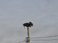 2012069972 Lobster Fishing Village - Rustico - PEI - Canada - Jun 28