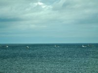 2012069980 Lobster Fishing and Red Rock Beach - near Braddeck - PEI - Canada - Jun 28