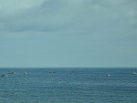 2012069984 Lobster Fishing and Red Rock Beach - near Braddeck - PEI - Canada - Jun 28