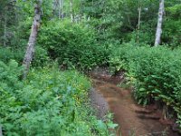 2012070056 Anne of Green Gables Museum - Silver Bush - PEI - Canada - Jun 28