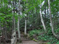 2012070067 Anne of Green Gables Museum - Silver Bush - PEI - Canada - Jun 28