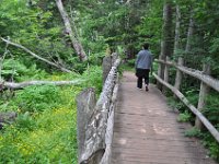 2012070074 Anne of Green Gables Museum - Silver Bush - PEI - Canada - Jun 28