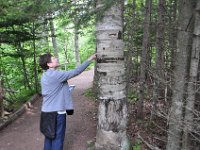 2012070075 Anne of Green Gables Museum - Silver Bush - PEI - Canada - Jun 28