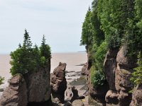 2012070253 Hopewell Cape and Bay of Fundy - New Brunswick - Canada - Jun 29