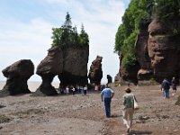 2012070257 Hopewell Cape and Bay of Fundy - New Brunswick - Canada - Jun 29