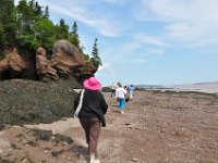 2012070270 Hopewell Cape and Bay of Fundy - New Brunswick - Canada - Jun 29