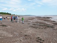 2012070272 Hopewell Cape and Bay of Fundy - New Brunswick - Canada - Jun 29