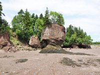 2012070276 Hopewell Cape and Bay of Fundy - New Brunswick - Canada - Jun 29