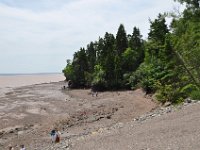 2012070279 Hopewell Cape and Bay of Fundy - New Brunswick - Canada - Jun 29