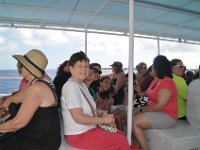 2016060719 Turtle and Wildlife Adventure, Grand Cayman, Cayman Islands (June 9)