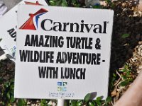 2016060736 Turtle and Wildlife Adventure, Grand Cayman, Cayman Islands (June 9)